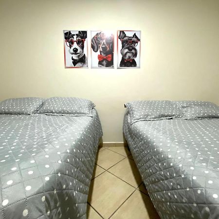 Boqueirao Apt12 大普拉亚 外观 照片